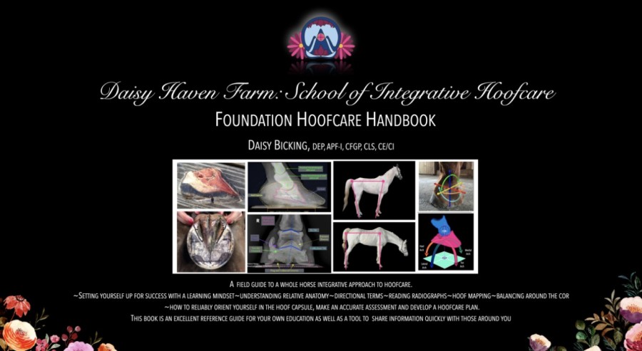 Foundation Hoofcare Handbook image