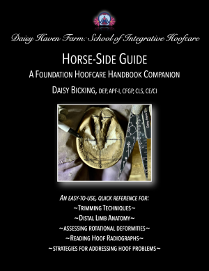 Horse Side Guide Cover.001