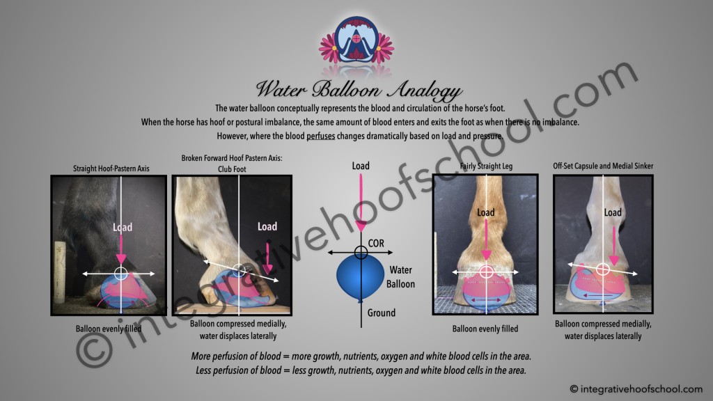 Water Balloon Analogy Poster image