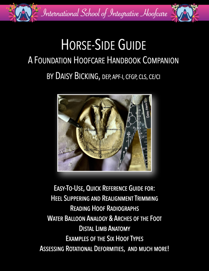 Horse-Side Guide: A Foundation Hoofcare Handbook Companion image